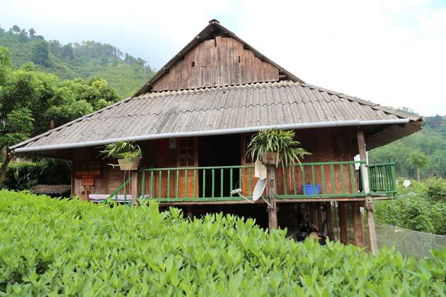 Chez habitant à Mu Cang Chai