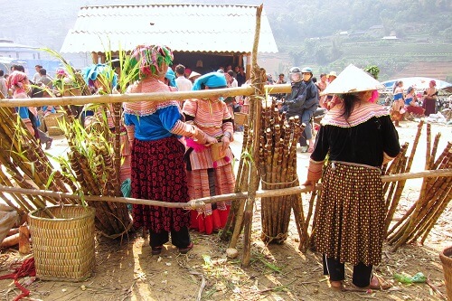 Programme en détails