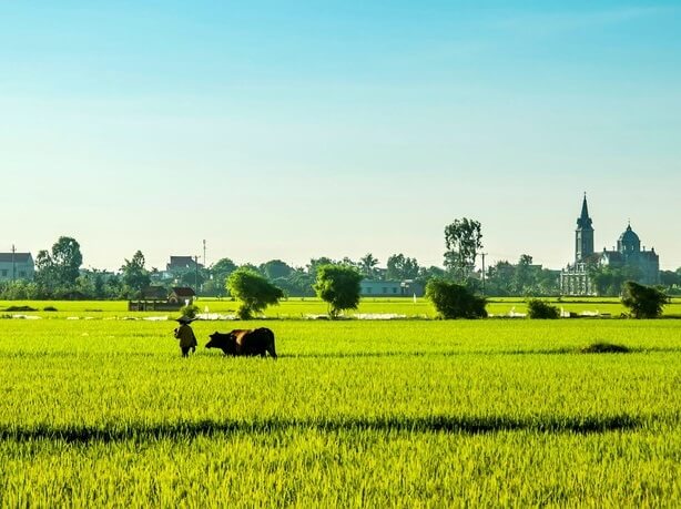 Thai Binh