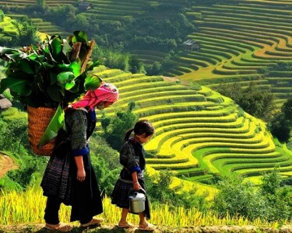 Voyage équitable 22 jours Vietnam et Cambodge